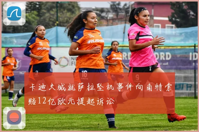 卡迪夫城就萨拉坠机事件向南特索赔12亿欧元提起诉讼