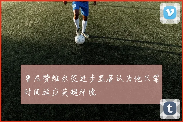 鲁尼赞维尔茨进步显著认为他只需时间适应英超环境