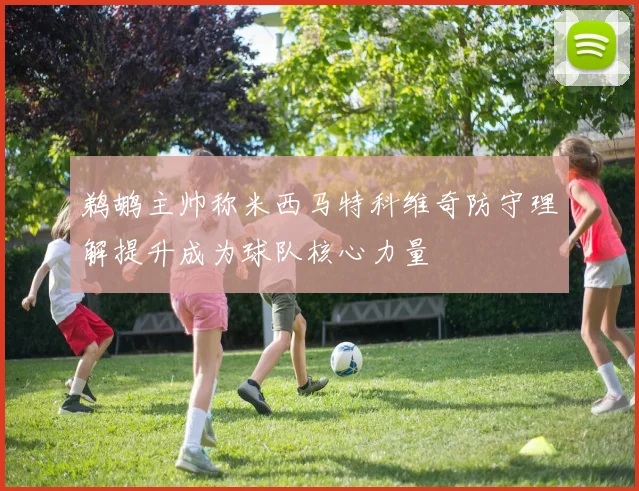 鹈鹕主帅称米西马特科维奇防守理解提升成为球队核心力量