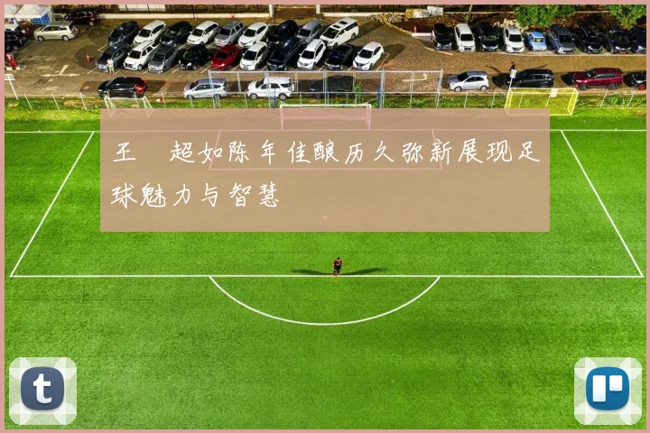 王燊超如陈年佳酿历久弥新展现足球魅力与智慧