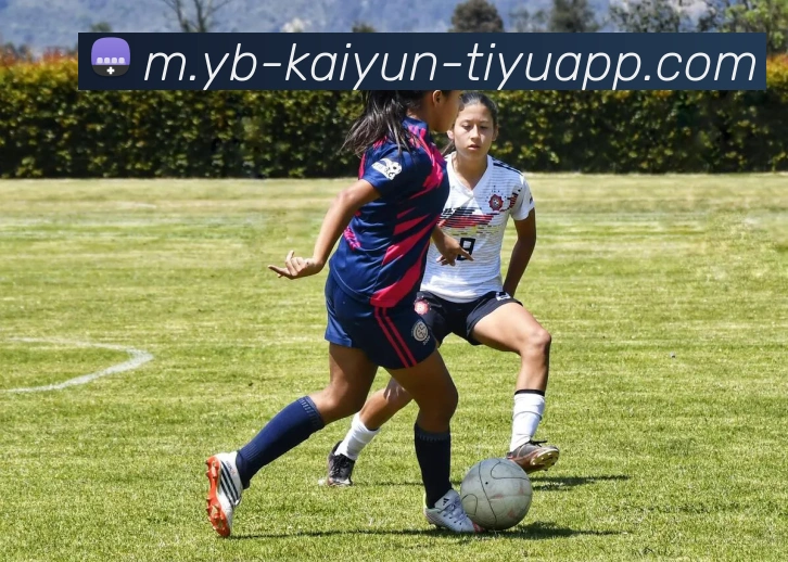 App Interface Preview