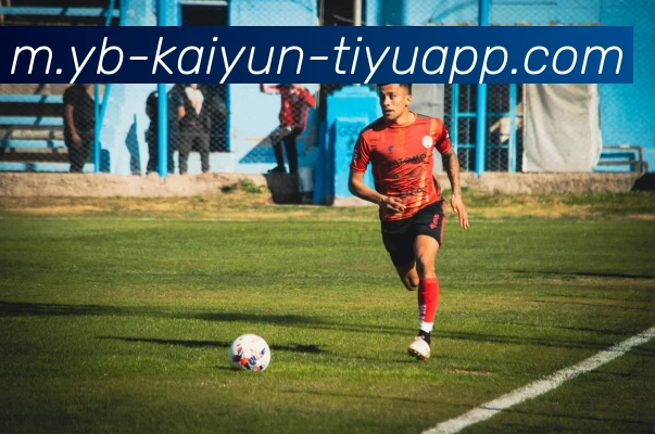 开云体育APP 封面图