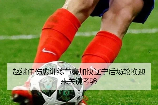 赵继伟伤愈训练节奏加快辽宁后场轮换迎来关键考验(kaiyun)
